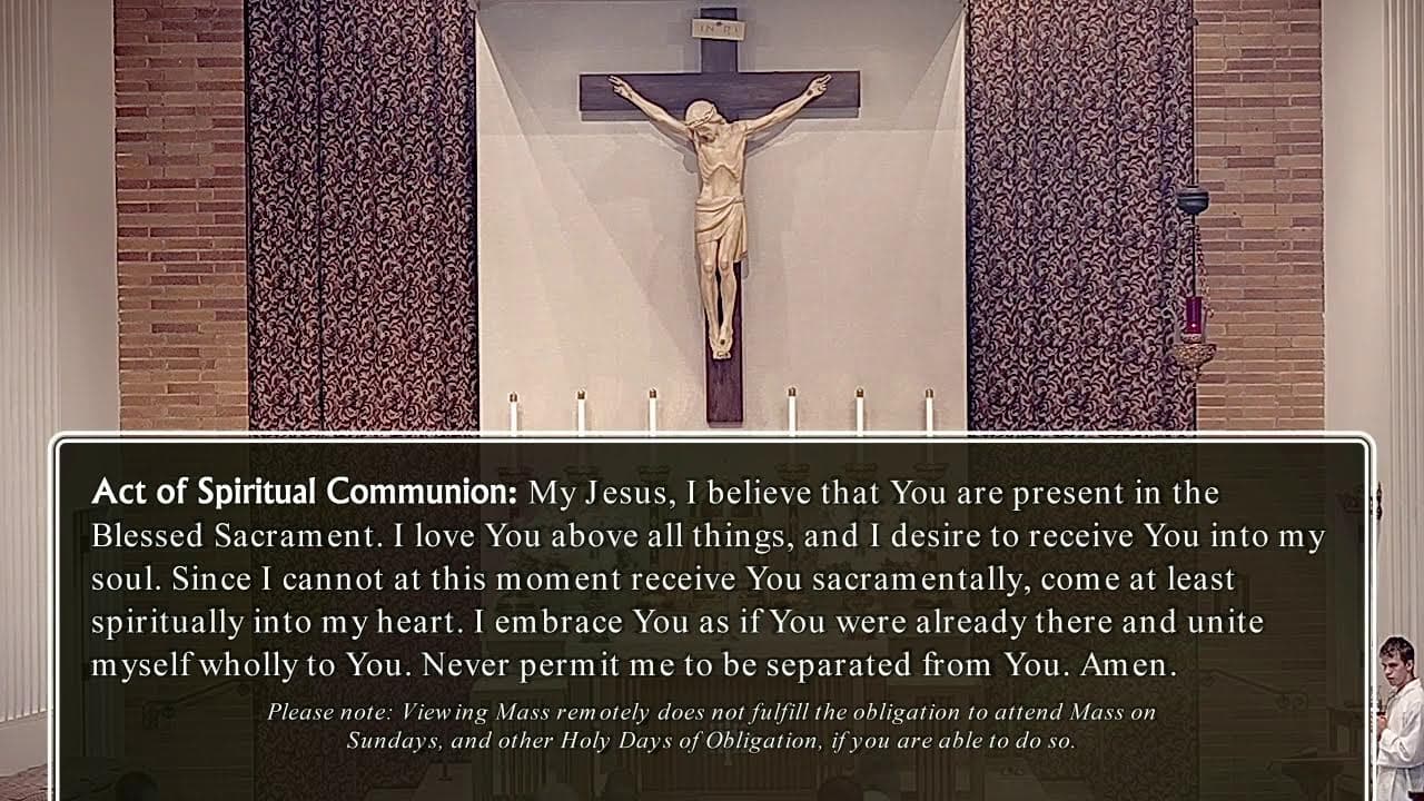 Wednesday Mass: Wednesday of the Eleventh Week in Ordinary Time
