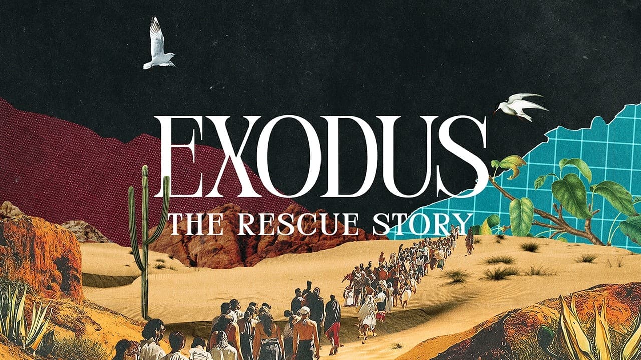 The Name (Message Only)