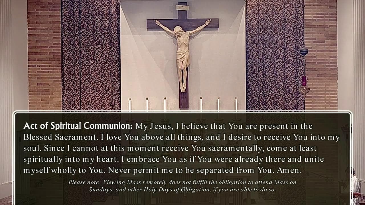 Tuesday Mass: Memorial of Saints Marcellinus and Peter