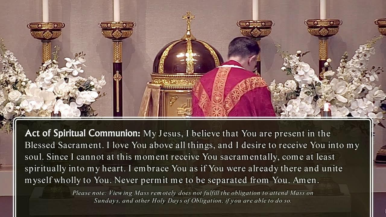 Monday Mass: Memorial of Saint Apollinaris