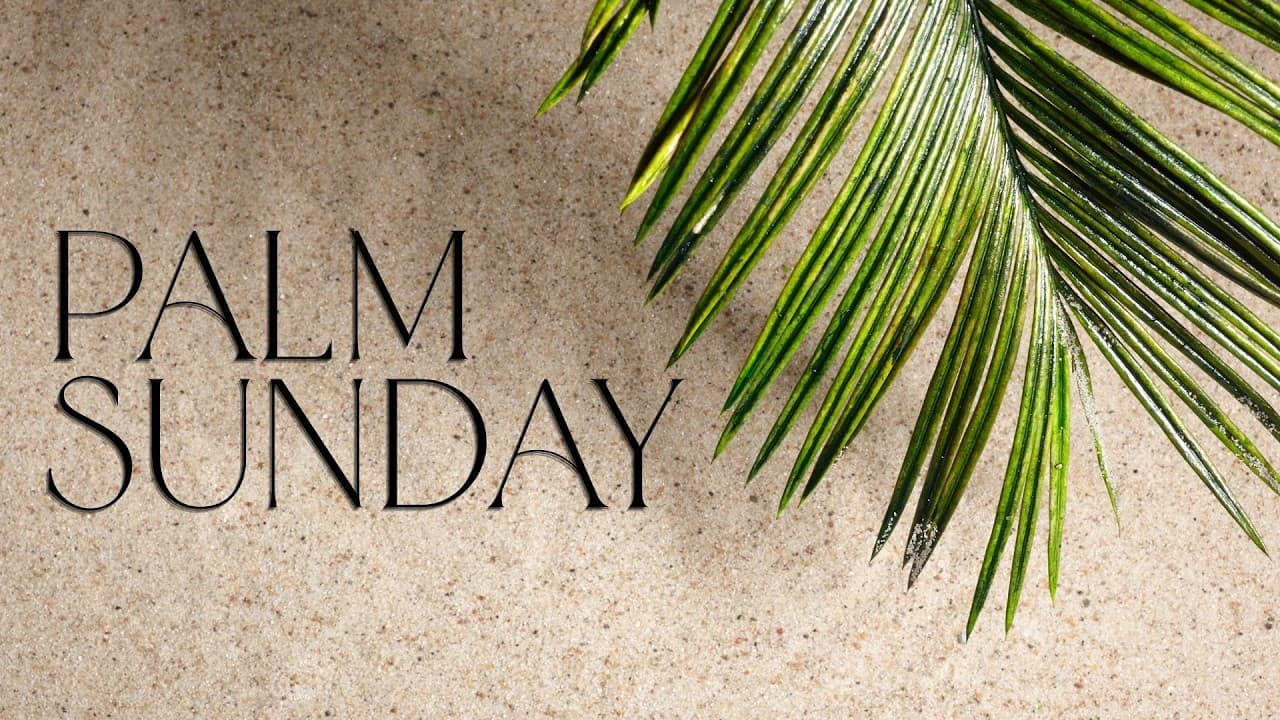 PEACE WITH GOD // GENESIS // March 29, 2026