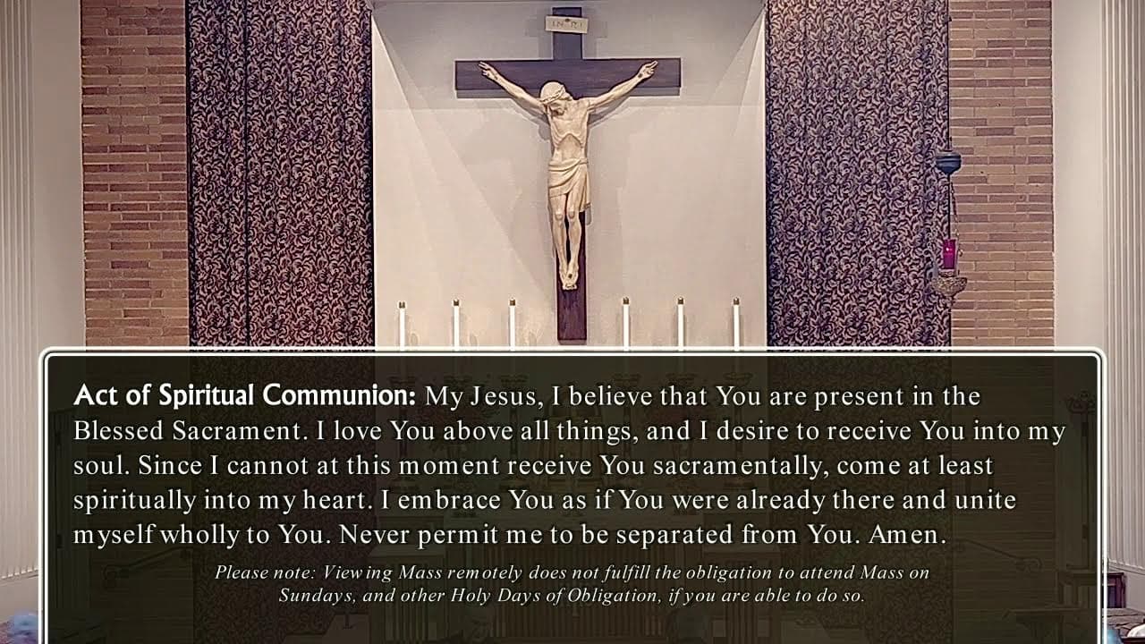Saturday Mass: Saturday of the Eighth Week in Ordinary Time