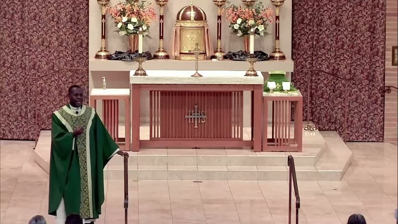 Sunday Homily - Twenty-seventh Sunday in Ordinary Time - October 4 2026