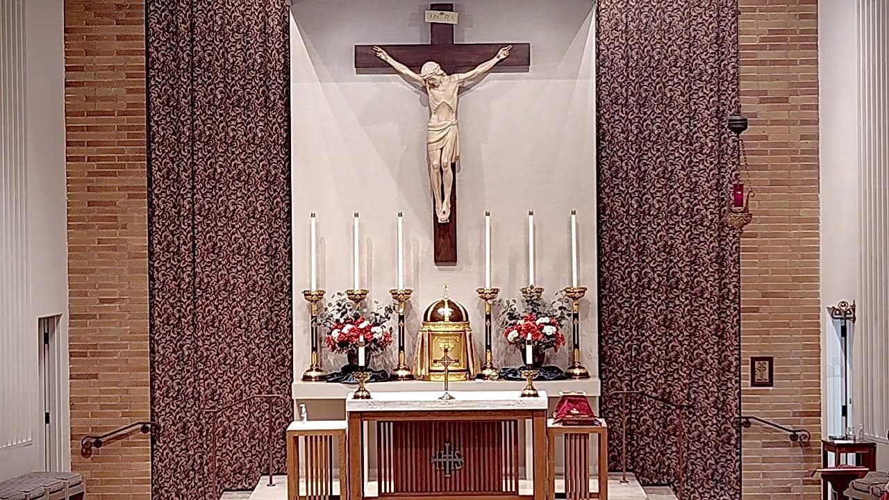Saturday Mass: Memorial of Saint Ignatius of Antioch