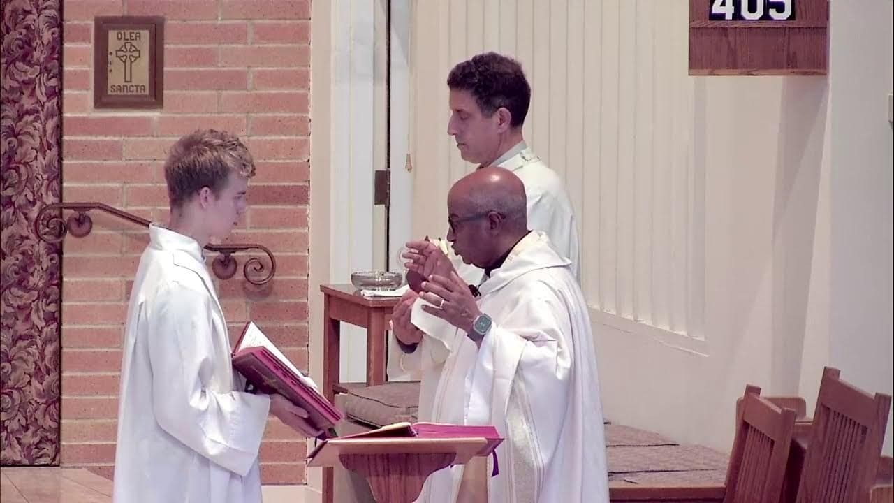 Wednesday Mass: Memorial of Our Lady of Mount Carmel