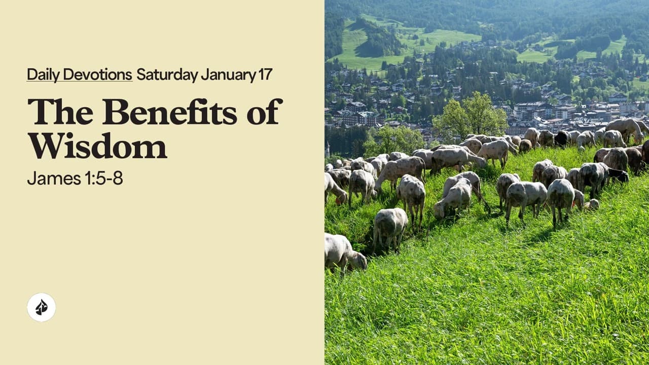 The Benefits of Wisdom – Daily Devotional