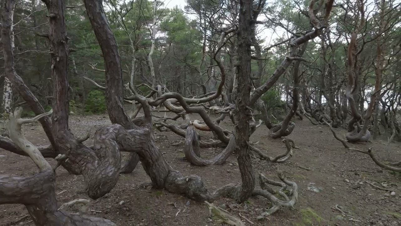Meditation 18