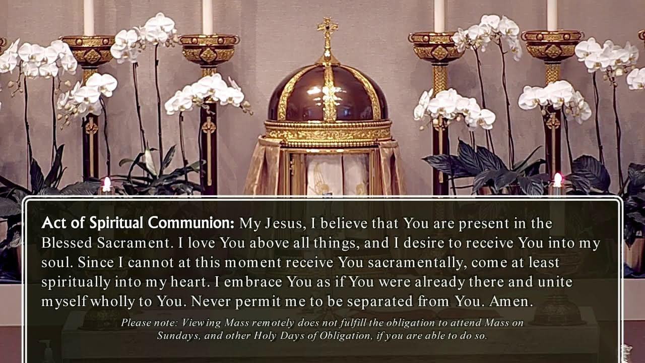 Thursday Mass: Memorial of Saint Bridget of Sweden