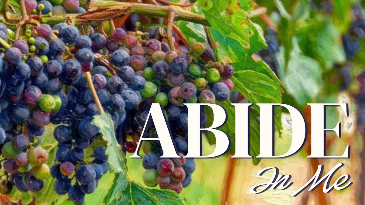 Abide in Me - Rethinking Effort - August 23, 2026 - Phil Brookman