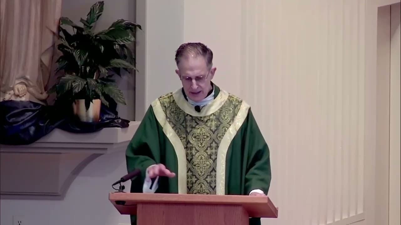 Sunday Homily - Twenty-eighth Sunday in Ordinary Time - October 11 2026