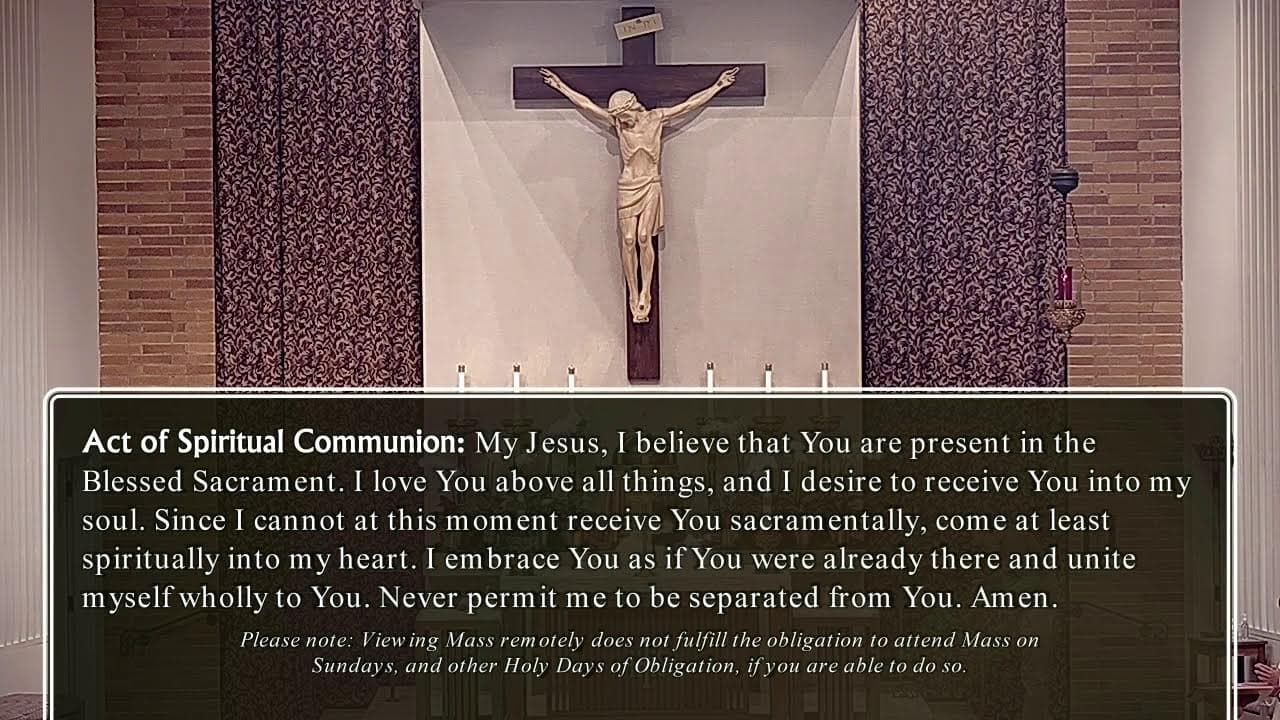 Saturday Mass: Memorial of Saint Elizabeth of Portugal