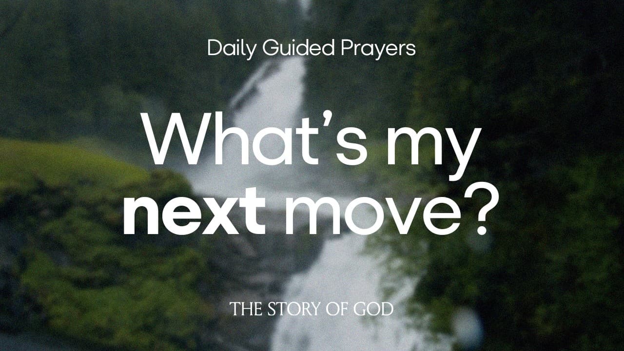What's My Next Move?