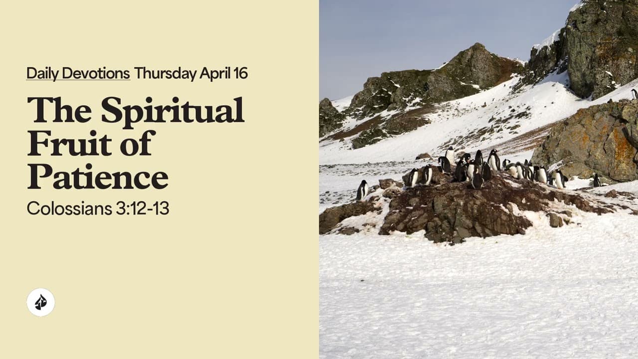 The Spiritual Fruit of Patience – Daily Devotional