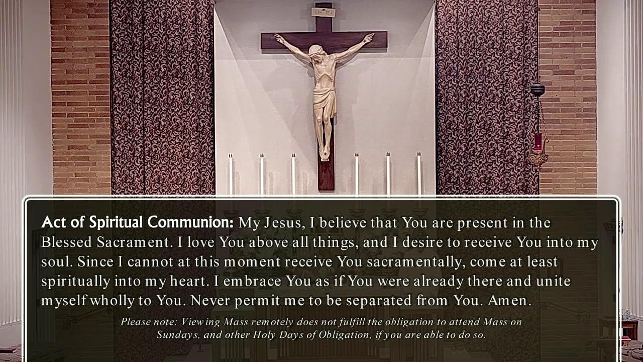 Tuesday Mass: Tuesday of the Twenty-second Week in Ordinary Time
