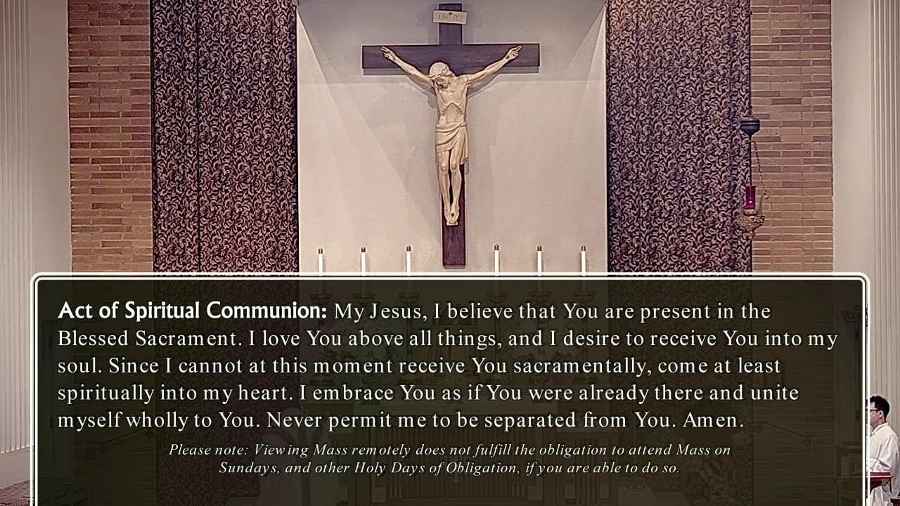 Tuesday Mass: Memorial of Saint Lawrence of Brindisi