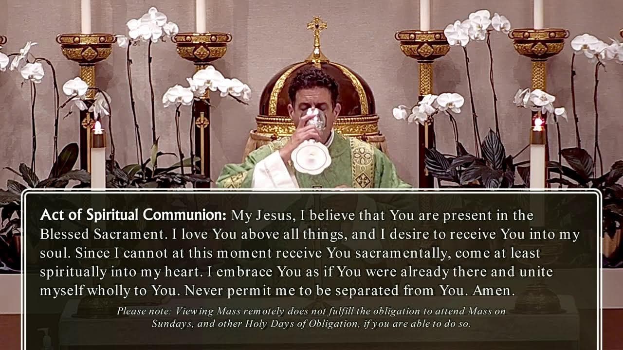 Wednesday Mass: Wednesday of the Twenty-first Week in Ordinary Time