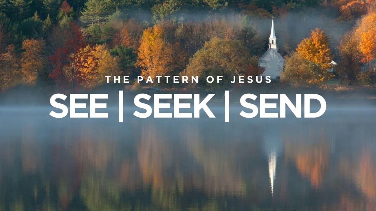 Andy Needham: See Seek Send