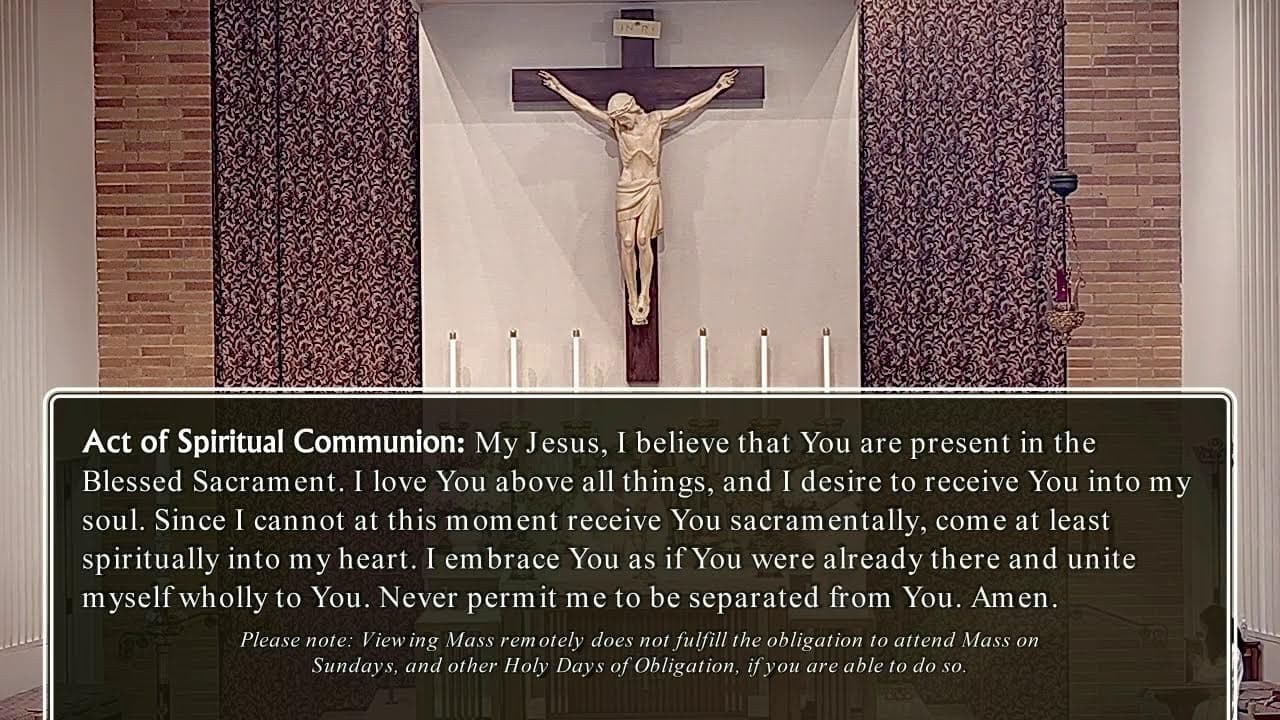Tuesday Mass: Tuesday of the Seventh Week of Easter