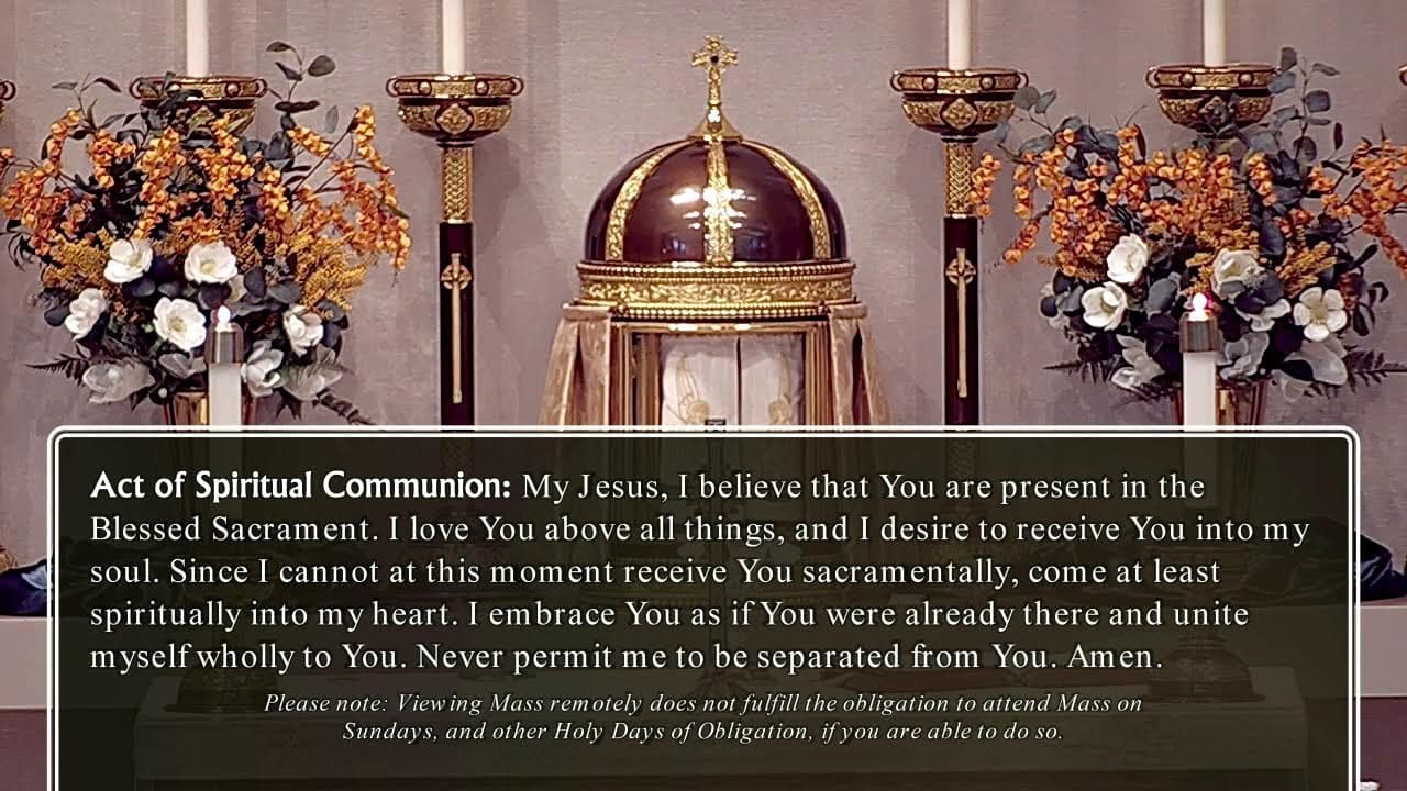 Tuesday Mass: Memorial of Saint Bruno