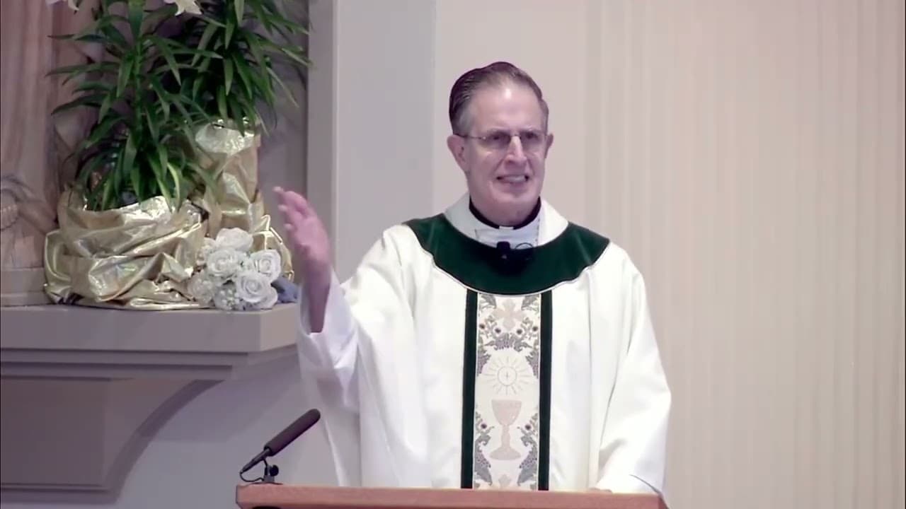 Sunday Homily - Fourth Sunday of Easter - April 26 2026