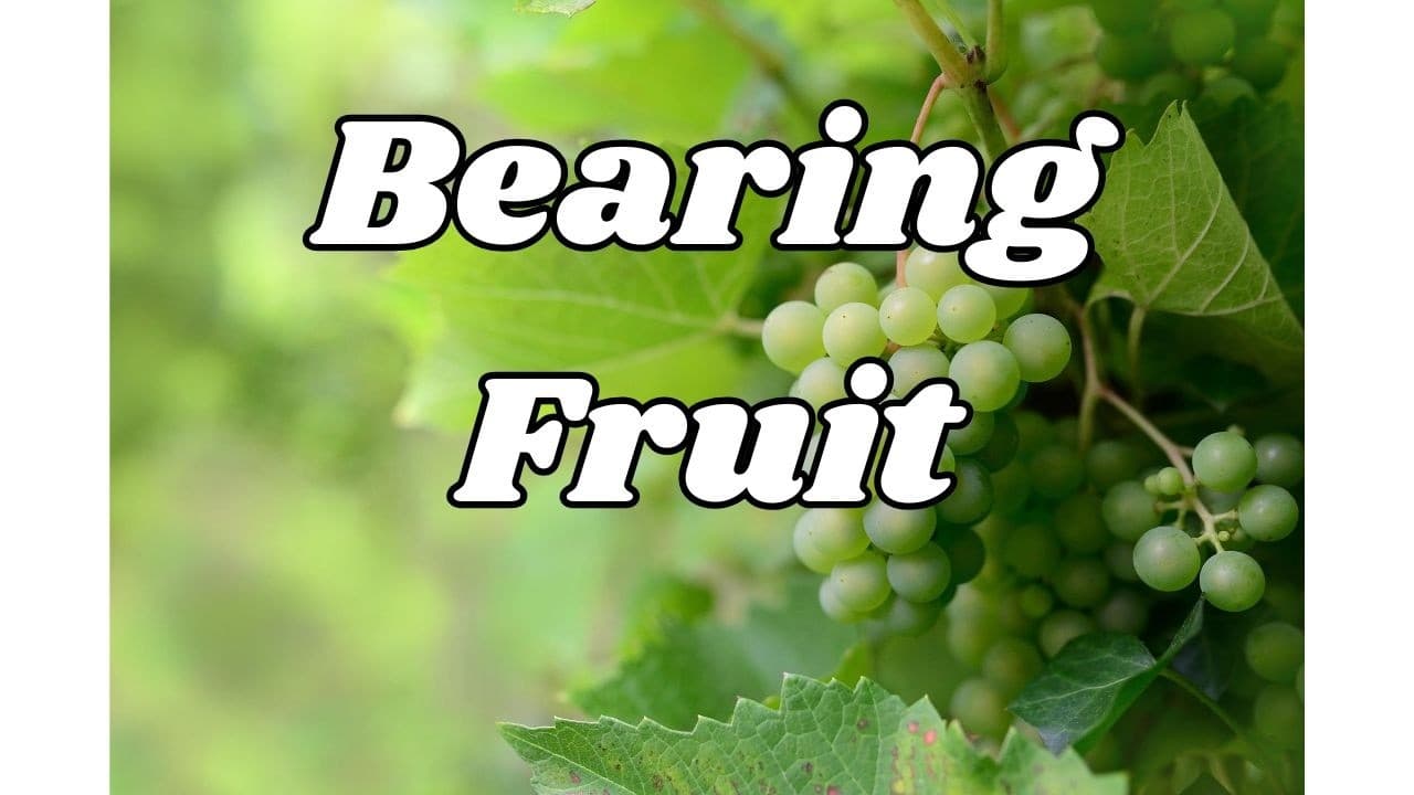 John 1512-17 & Galatians 5:16-26  Bearing Fruit