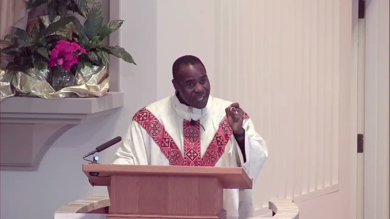 Sunday Homily - Solemnity of the Ascension of the Lord - June 1 2025