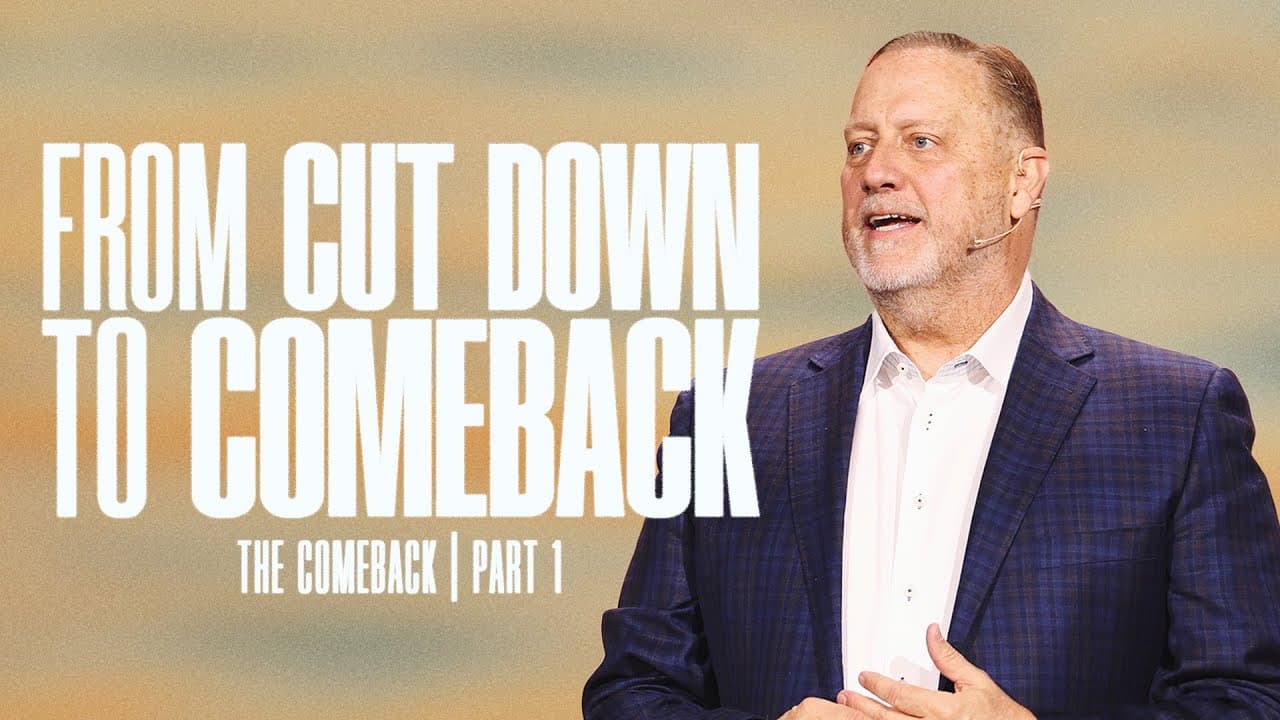 FROM CUT DOWN TO COMEBACK - THE COMEBACK - DINO RIZZO