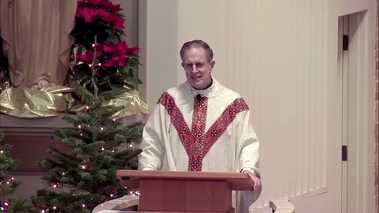 Sunday Homily - The Baptism of the Lord - January 11 2026