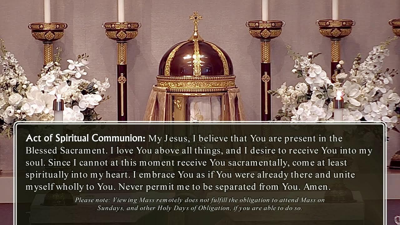 Friday Mass: Friday of the Fourteenth Week in Ordinary Time