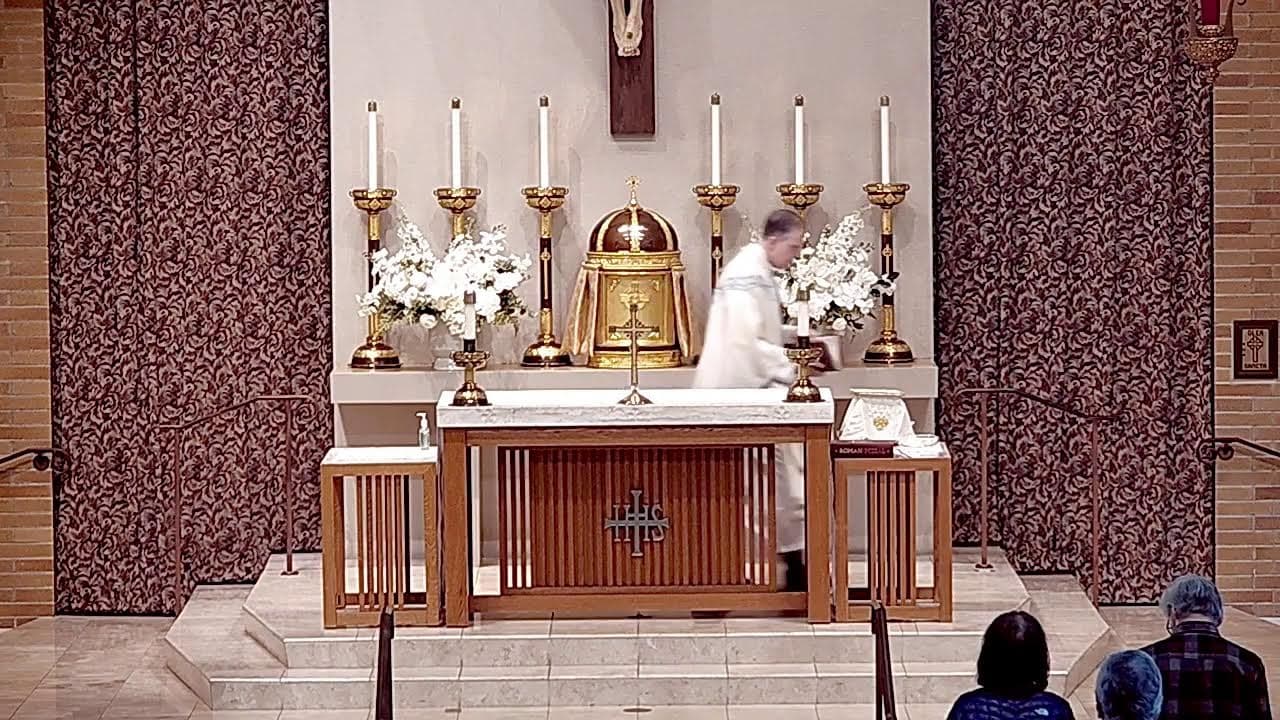 Thuesday Mass: Memorial of Our Lady of Mount Carmel