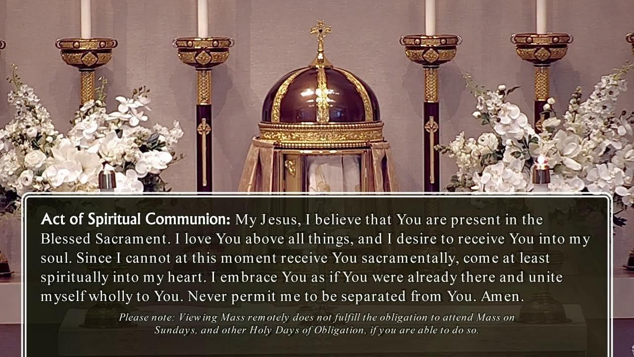 Monday Mass: Monday of the Eleventh Week in Ordinary Time