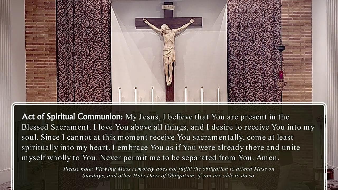 Saturday Mass: Saturday of the Seventh Week of Easter