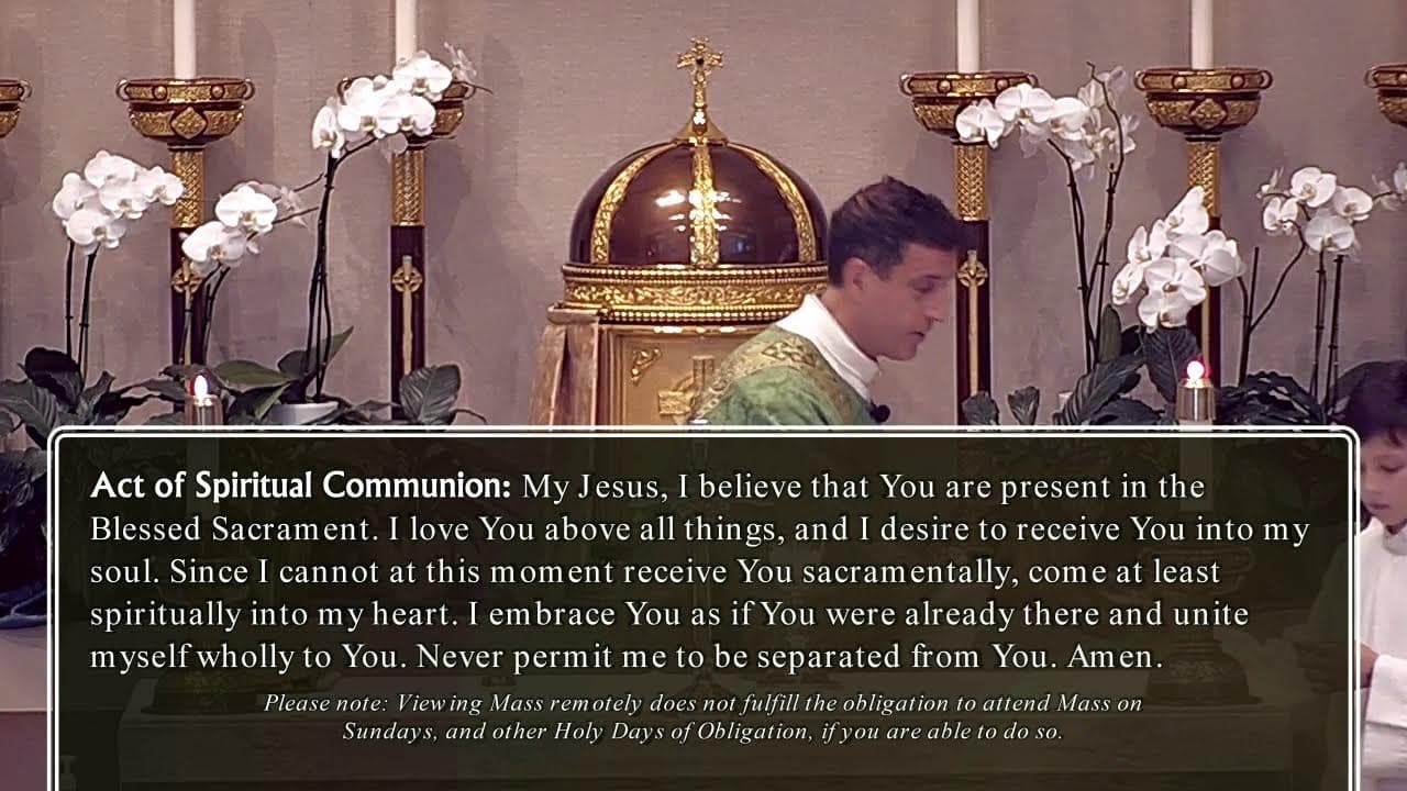 Wednesday Mass: Wednesday of the Thirteenth Week in Ordinary Time