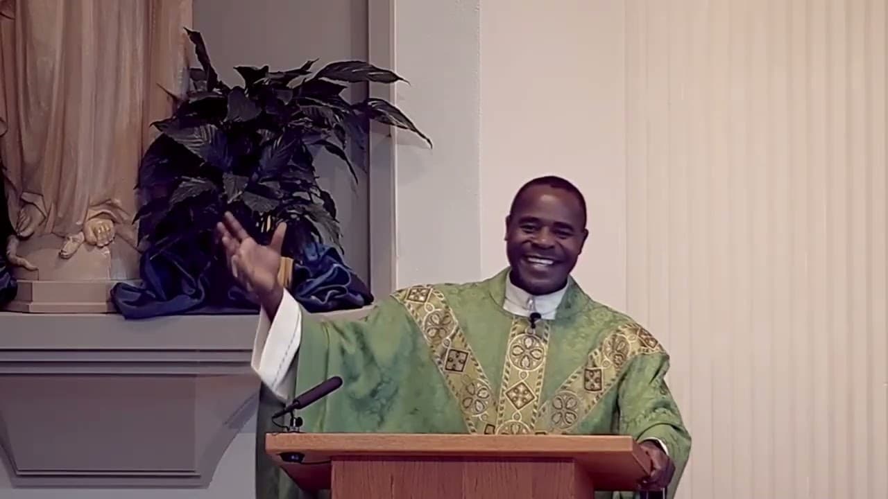 Sunday Homily - Twelfth Sunday in Ordinary Time - June 21 2026