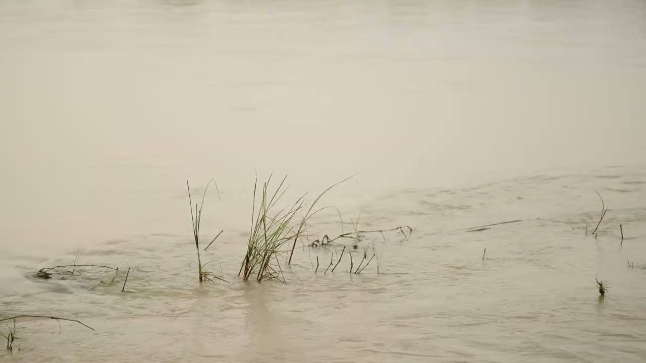 Meditation 11