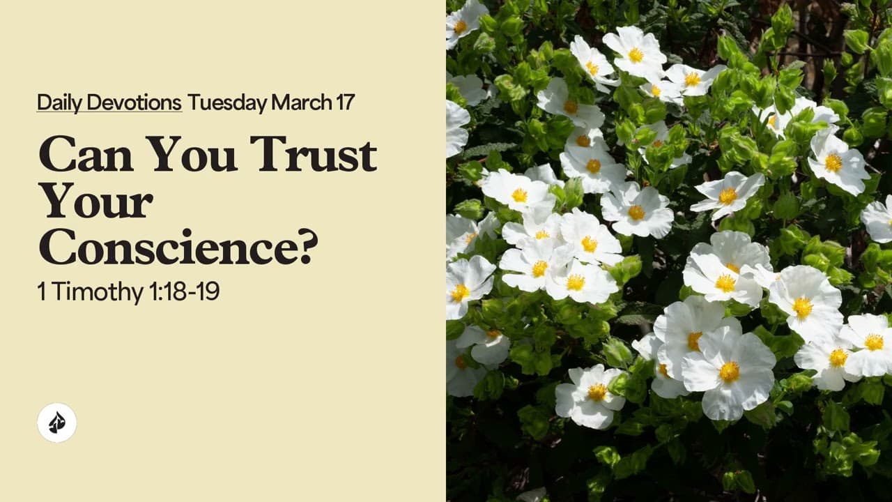 Can You Trust Your Conscience? – Daily Devotional