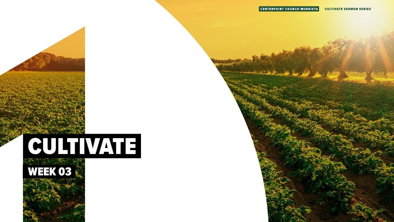 Cultivate Leader Guide | Week 3