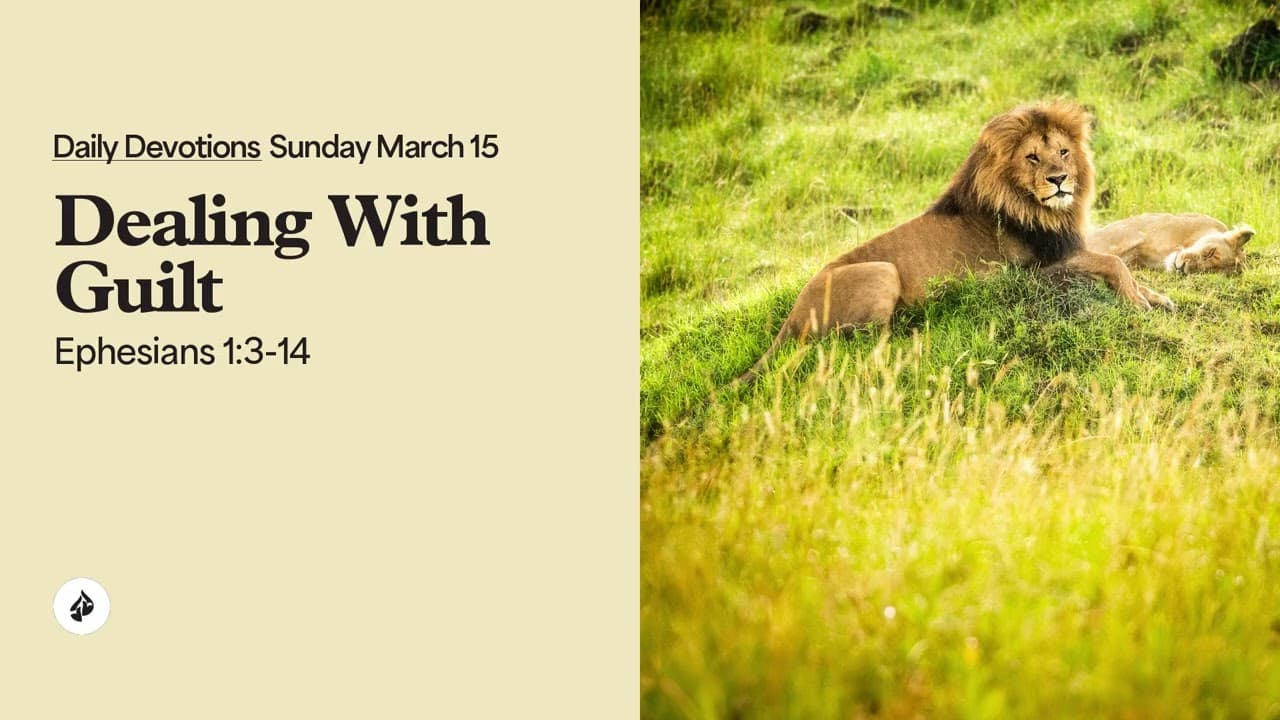 Dealing With Guilt – Daily Devotional