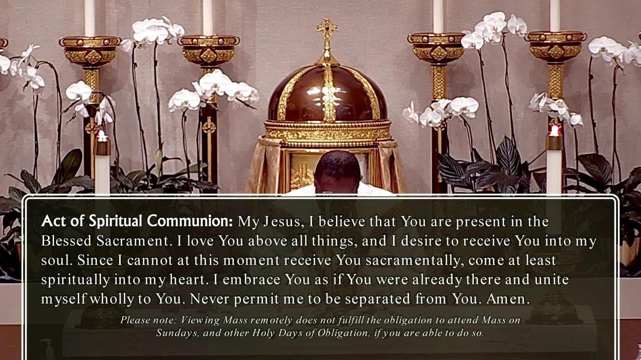 Thursday Mass: Memorial of Saint Monica