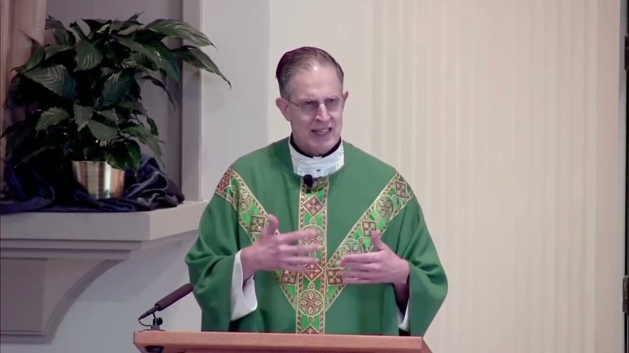 Sunday Homily - Fifteenth Sunday in Ordinary Time - July 12 2026