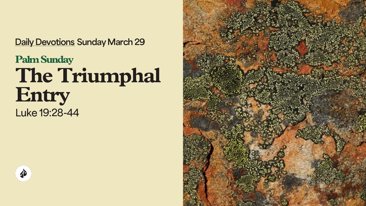 The Triumphal Entry – Daily Devotional