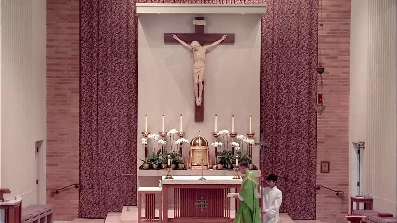 Monday Mass: Monday of the Twentieth Week in Ordinary Time