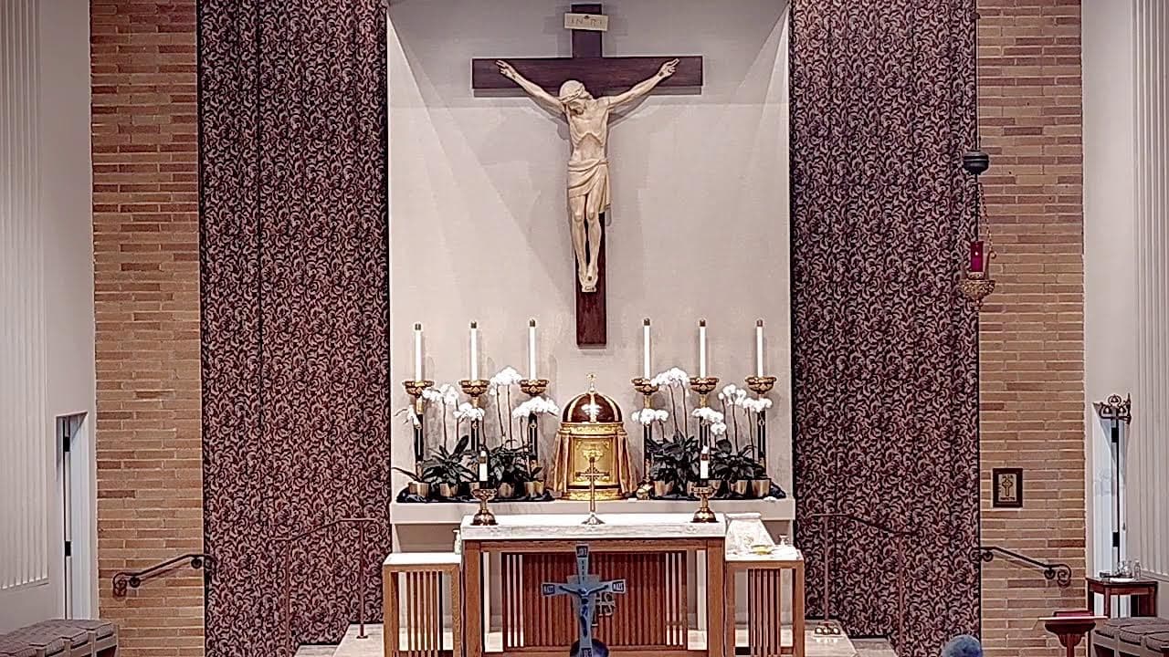 Saturday Mass: Memorial of the Queenship of the Blessed Virgin Mary